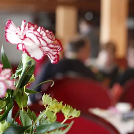 Pogostan Hovi Ilomantsi